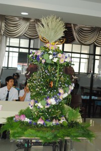 DSC_0708.JPG