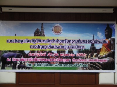 SANY0024.JPG