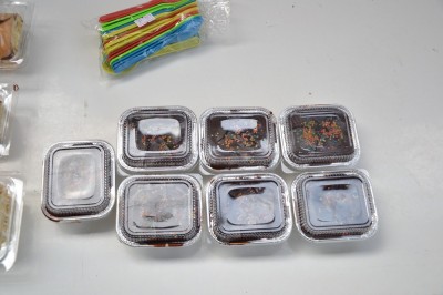 DSC_0471.JPG