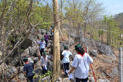r1 (17).JPG