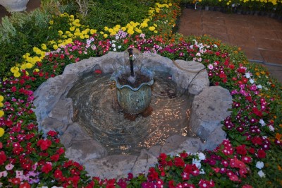 DSC_4378.JPG