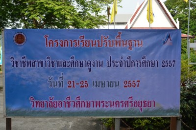DSC_0113.JPG