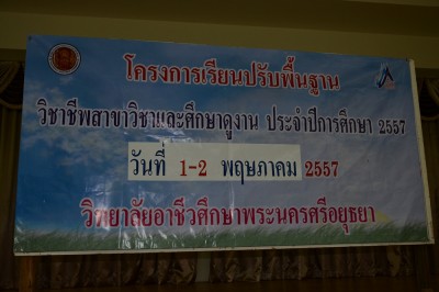 DSC_0082.JPG