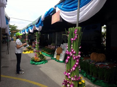 S__2523141.jpg