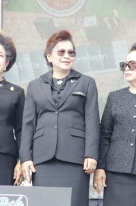 67.jpg