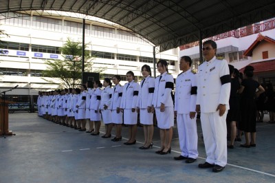 96.jpg