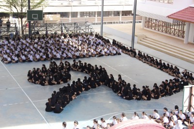 105.jpg