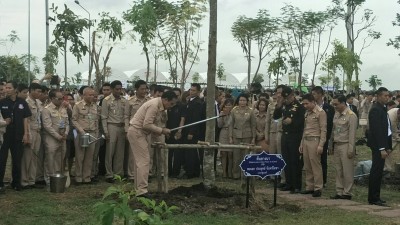 timeline_20170807_131046.jpg