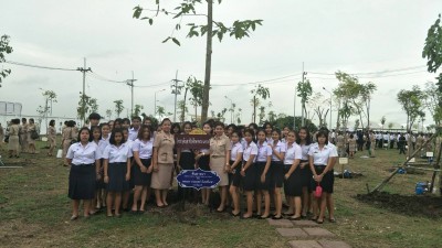 timeline_20170807_131114.jpg