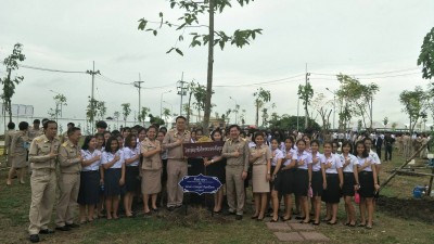 timeline_20170807_131202.jpg