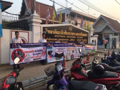 timeline_20190131_142227.jpg