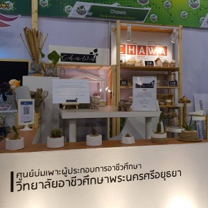 timeline_20220926_145539.jpg