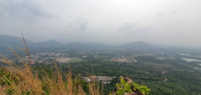 729645.jpg